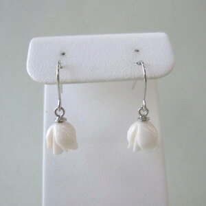 X oQ tbNsAX SILVER KN ڂ݁w΃TSx X荥 җ a j   3̒a Mtg v[g 35N XEl