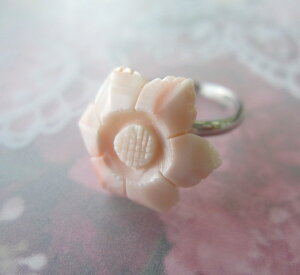 WsNX Ԃ̃t[O w y `FW  w΃TSx X荥 җ a j   3̒a Mtg v[g 35N XEl