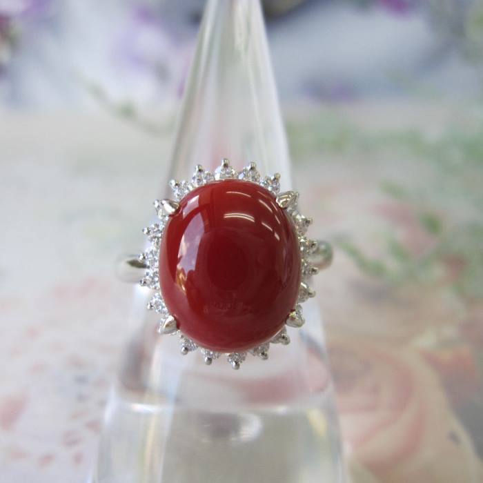 楽天市場】日本 高知産血赤珊瑚 豪華 プラチナデザインリング 指輪 