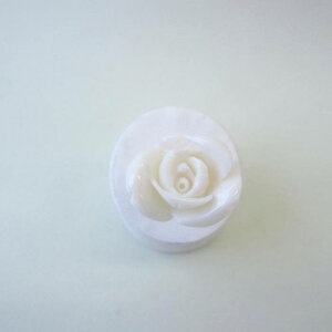 X KN̉ Vo[O w SILVER ΃TS X荥 җ a j   3̒a Mtg v[g 35N XEl