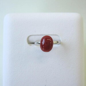 { mYԎX I[o O i9×7~j w K18WG ΃TS X荥 җ a j   3̒a Mtg v[g 35N XEl