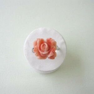 sNX KN̉ t[O w VR ANZT[ w΃TSx X荥 җ a j   3̒a Mtg v[g 35N XEl