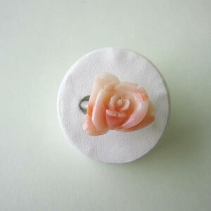 sNX KN̉ t[O w VR ANZT[ w΃TSx X荥 җ a j   3̒a Mtg v[g 35N XEl