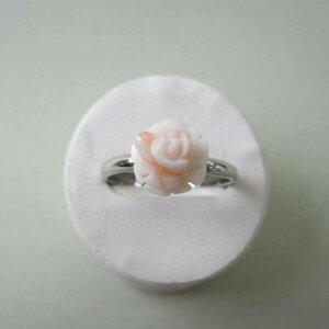 sNX KN̉ t[O w VR ANZT[ w΃TSx X荥 җ a j   3̒a Mtg v[g 35N XEl