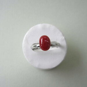 { mYԎX I[o t[O ^J w VR ΃TS X荥 җ a j   3̒a Mtg v[g 35N XEl