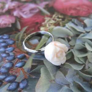 WsNTS KNQ̃t[O w VR R[ANZ w΃TSx X荥 җ a j   3̒a Mtg v[g 35N XEl