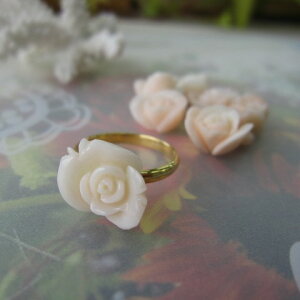 ~bhTS KN̉ԃt[O w w΃TSx X荥 җ a j   3̒a Mtg v[g 35N XEl