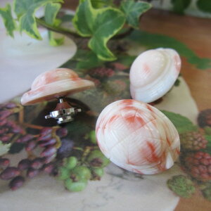 sNX Xq̃s^bNEsu[` w΃TSx X荥 җ a j   3̒a Mtg v[g 35N XEl