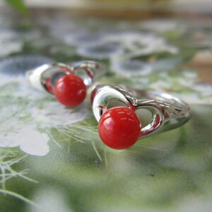 {EmYԎX Vo[O (6~) w SILVER yn[gz w΃TSx X荥 җ a j   3̒a Mtg v[g 35N XEl