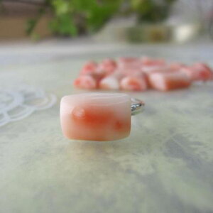 sNX t[O w ^J w΃TSx X荥 җ a j   3̒a Mtg v[g 35N XEl