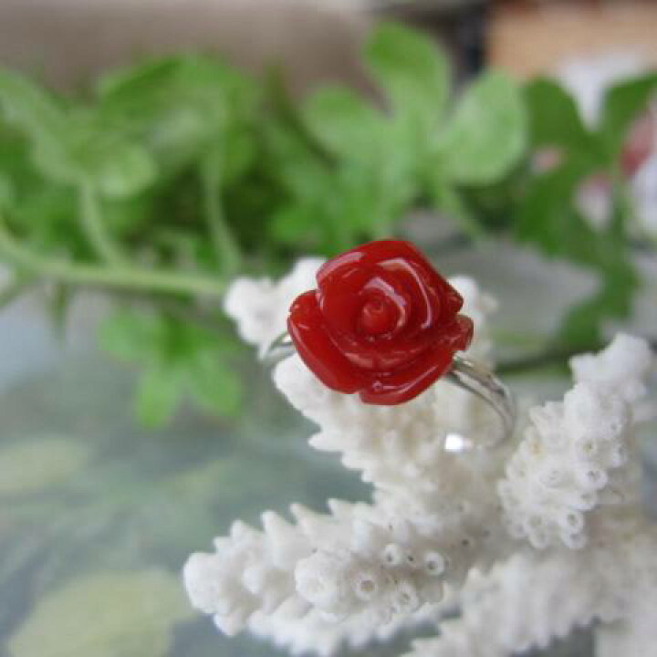 楽天市場 高知産血赤珊瑚の美しい薔薇の花の指輪 9 4 10 3ミリ リング K18wg 宝石サンゴ 珊瑚職人館ー土佐