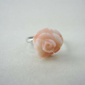 sNTS KN̉ԃt[O w VR ANZT[ w΃TSx X荥 җ a j   3̒a Mtg v[g 35N XEl