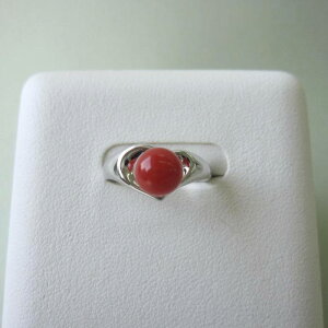 { mYԎX Vo[O (6.7~) w SILVER yn[gz w΃TSx X荥 җ a j   3̒a Mtg v[g 35N XEl