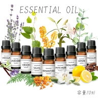 【ミラティウム公式】エッセンシャルオイル MILLATIUM アロマオイル 10ml カーフレグランス 芳香剤
