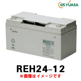 短納期【07/13入荷分】GSユアサ REH24-12 (12V 24Ah) REH 産業用 蓄電池 鉛蓄電池 バッテリー 制御弁式据置鉛蓄電池　ジーエスユアサ