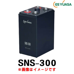 GSAT SNS-300 (2V 300Ah) MSE^Cv SNS MSE YƗp ~dr ~dr obe[ َu~dr d@np