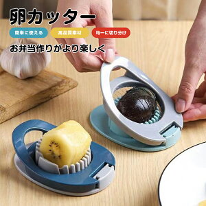 _ԌFP5{+1000~OFF^ XCT[ GbOJb^[ ?GbOXCT[p؂ ʎq؂ 2[h ƒp Ɩp