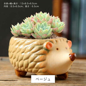 Aؔ Ap A v[gpj[NȐAؔ Ap K[ffR[V K[fjOIuWF  