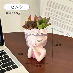 Aؔ Ap Ap K[ffR[V A v[gpj[NȐAؔ K[fjOIuWF  