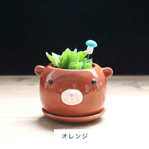 Aؔ Jo[ukvϗtA    y M sv Ap Ap K[ffR[V A v[gpj[NȐAؔ K[fjOI