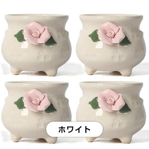 Aؔ ̓ K[fjOIuWF A K[fjOIuWF A Ap tBMAtv^[ K[ffR[V Ap v[gp