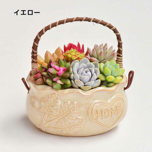 Aؔ ̓ K[fjOIuWF A K[fjOIuWF A Ap K[ffR[V Ap v[gpj[NȐAؔ 