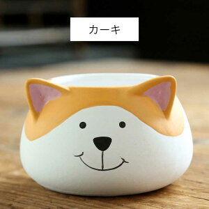 Aؔ Ap A v[gpj[NȐAؔ Ap K[ffR[V K[fjOIuWF  