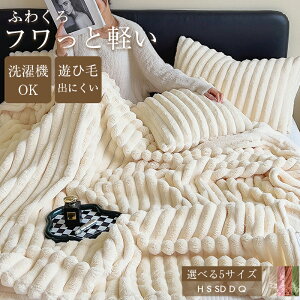 \期間限定:P5倍+1000円OFF/2枚合わせ 毛布 暖かい ふわとろ毛布 入り 冬用 厚手 ブランケット 北欧 大判 おしゃれ 高級 吸湿発熱 保温 膝掛け ブランケット 掛け毛布 可愛い ひざ掛け 静電気