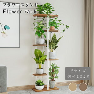 yԌFP5{+600~OFFzSGSF t[X^h ԑ  O  x_ X  u |bN K[fjObN v^[  |bg