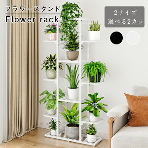 _ԌFP5{+2000~OFF^t[X^h ԑ  |bN K[fjObN  O  x_ X  u v^[ |bg y I I