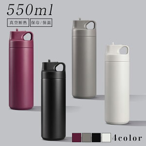 _ԌFP5{+10%OFF^  550ml XeX| e ۉ ۗ ^ IV AEghA V ʊw ʋ Vv l @r 􂢂₷ Mtg v[g