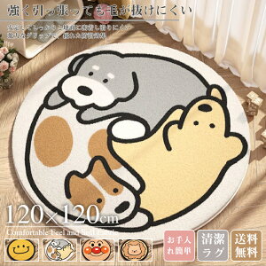 _ԌFP5{+500~OFF^O O}bg ~O ~pO VM[O J[ybg k  킢 炮 60×60cm 80×80cm 100×100cm 120×120cm J[ybg ӂӂ   x O