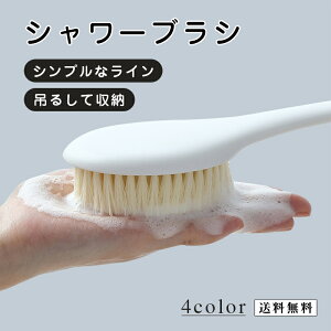 yԌFP5{+10%OFFzV[uV ӂ {fBX|W C oXX|W  킢 V[uV Aălbg w {fB^I {fBEHbV CC oXu