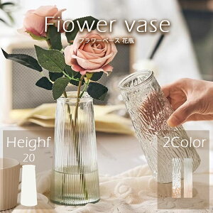 _労ӍՁFP5{+500~OFF^t[x[X ԕr  Z~bN k  | Ԋ } Xg[ 蕨 RjJO Vv  ȉԕrhCt[ t[ v[g C