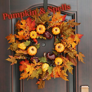 _ԌFP5{+10%OFF^nEB[X ڂ pvL [X  k  i` nEB[ hCt[   X  D  t hA Ǌ| 