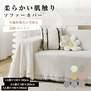 y労ӍՁFP5{+600~OFFz\t@[Jo[ 3l| 2l| 1l| }`Jo[ L΍ k  \t@[ Jo[ Lk Lk ~ ܂Ƃh~ G _炩 \t@[xbhΉ