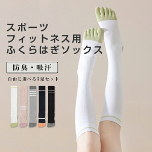 _ԌFP5{+10%OFF^K\bNX C 5{w K \bNX 3 ܖ{w ~ O nC\bNX w 悪 jO EH[LO ejX seBX KEFA KEGA