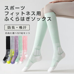 yԌFP5{+10%OFFzK\bNX fB[X O seBX e |GXe mV[ t[TCY fB[X gD\bNX  z RۖhL ^p S5