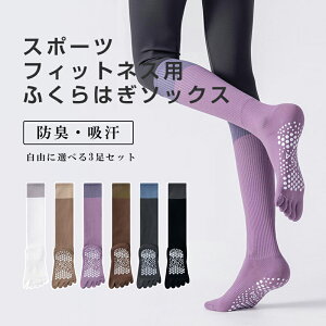 _ԌFP5{+10%OFF^K\bNX 5{w 3_Zbg  EFA KpO\bNX ~ \bNX KEFA EH[LO nC\bNX w C O seBX 