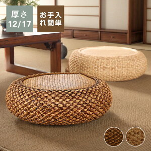 _ԌFP5{+300~OFF^~ zc V[gNbV ۍzc ԂƂ a  ~` ی^ Eh     򗷊 Ɩp