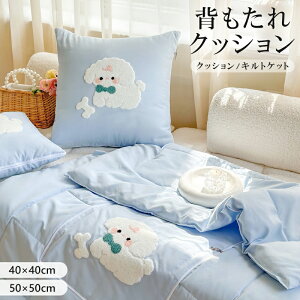 _24hFP5{+10%OFF^w NbV  ԗp ֎qp k Vv   \t@[ zc NbV xbh rO 킢  _ Ƌ  ܂