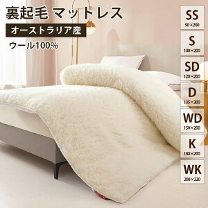 _ԌFP5{+2000~OFF^{bNXV[c  H~p ڐG }CNt@Co[ N єɂ C xbhV[c xbhJo[ }bgX?~ӂƂ񌓗p EȒP 