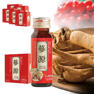 X[p[SALE 20%OFF!! lQ hN  6{ 12{ 30{ Y gQ 100%gp ChN h{hN ݂₷ NlQ ăoe T|j  e 30 40 50 60 VEK NR̎ 