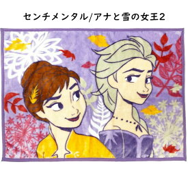 ひざ掛け 毛布 70×100cm ディズニー キャラクター プリント お昼寝ケット ブランケット もうふ あったか ベビー キッズ 赤ちゃん 子共 男の子 女の子 送料無料