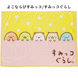 Ђ| ѕz 70×100cm fBYj[ LN^[ vg QPbg uPbg   xr[ LbY Ԃ q j̎q ̎q 