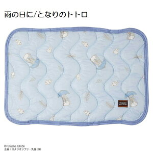 LN^[ Ђ pbh 43×63cm ⊴ Jo[ ڐG⊴  s[pbh  Jo[ ܂pbh gg [~ ~bL[ v[ LeB