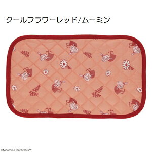 LN^[ Ђ pbh 43×63cm ⊴ Jo[ ڐG⊴  s[pbh  Jo[ ܂pbh gg [~ ~bL[ v[ LeB