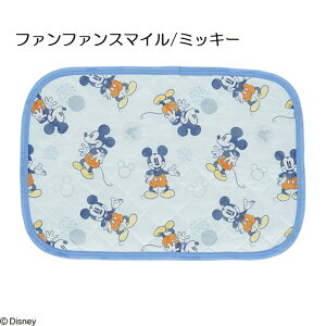 LN^[ Ђ pbh 43×63cm ⊴ Jo[ ڐG⊴  s[pbh  Jo[ ܂pbh gg [~ ~bL[ v[ LeB