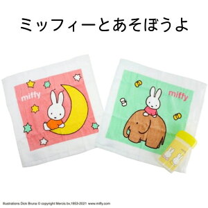 ڂ ^I nh^I 2 g Zbg ۉH fCYj[ LN^[ P[Xt 30×30cm ~j^I  ٓ  w  ۈ牀 ct wZ j̎q ̎q