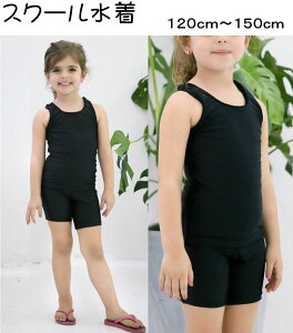 XN[ ̎q 120E130E140E150 TCY ubN q  w w ^  q